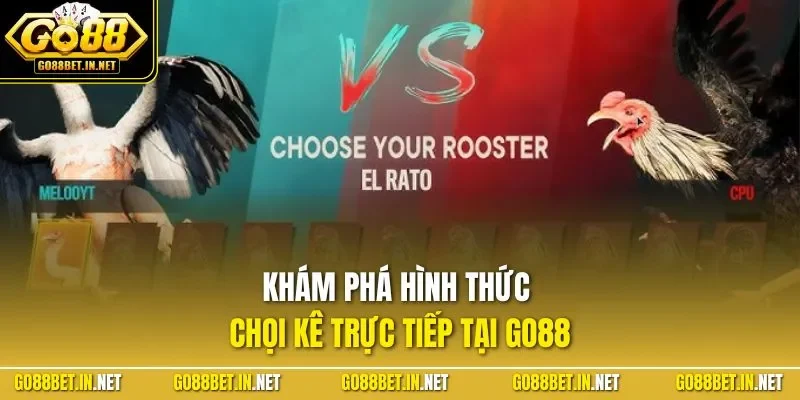 Khám phá hình thức chọi kê trực tiếp tại GO88