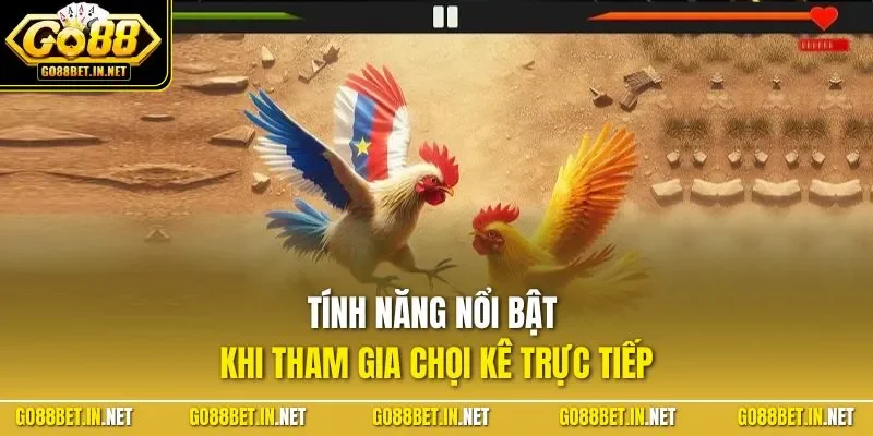 Tính năng nổi bật khi tham gia chọi kê trực tiếp